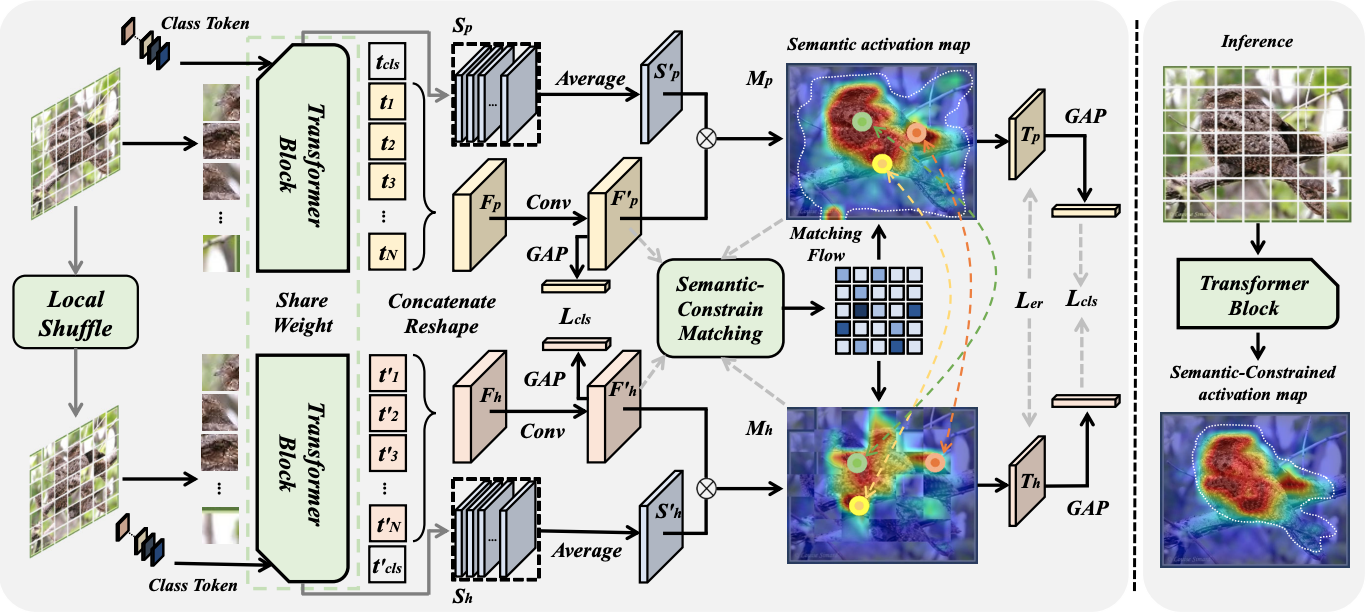 Semantic-Constraint Matching Transformer for Weakly Supervised Object Localization