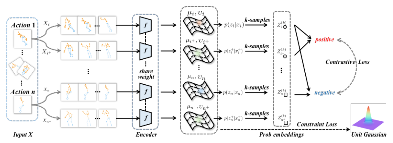 Modeling the Uncertainty for Self-supervised 3D Skeleton Action Representation Learning